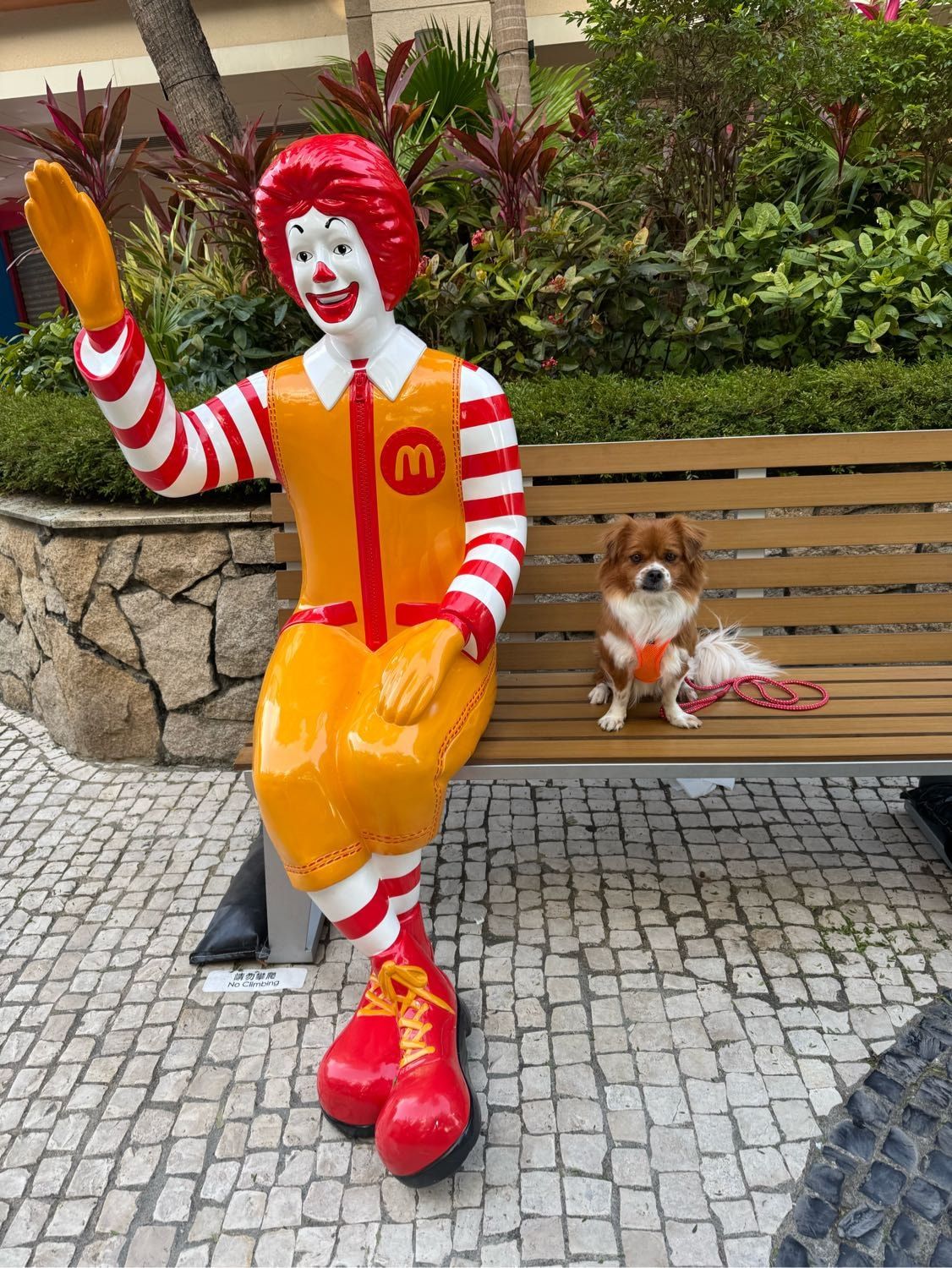 image-11