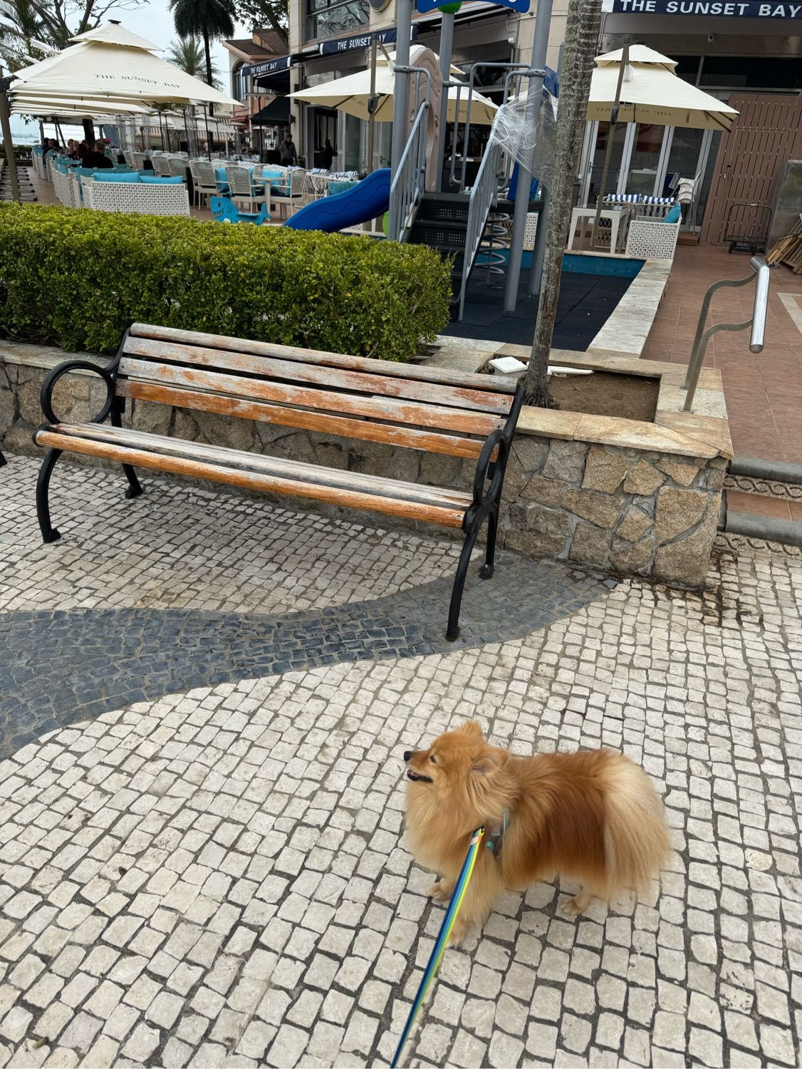 image-16