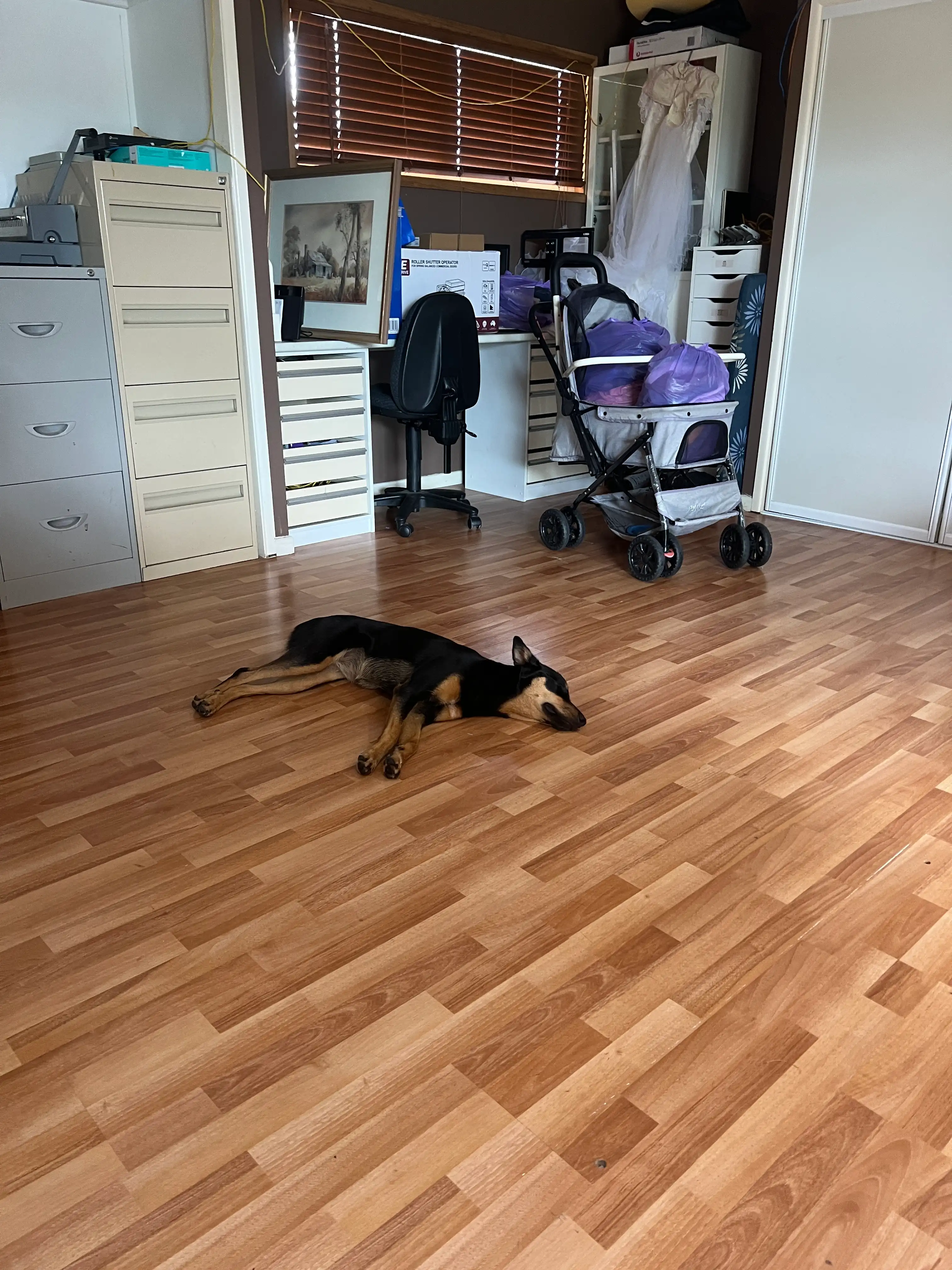 image-16