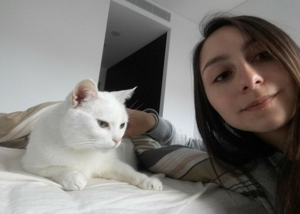 image-10