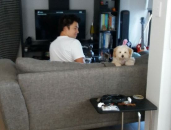 image-8