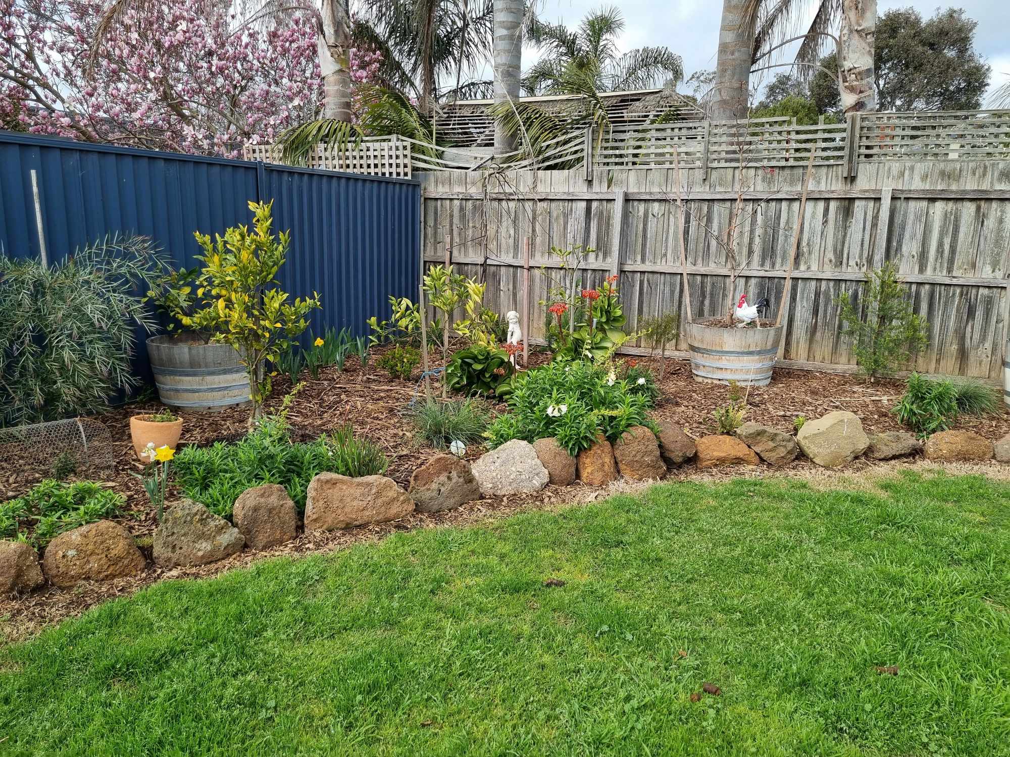 image-35