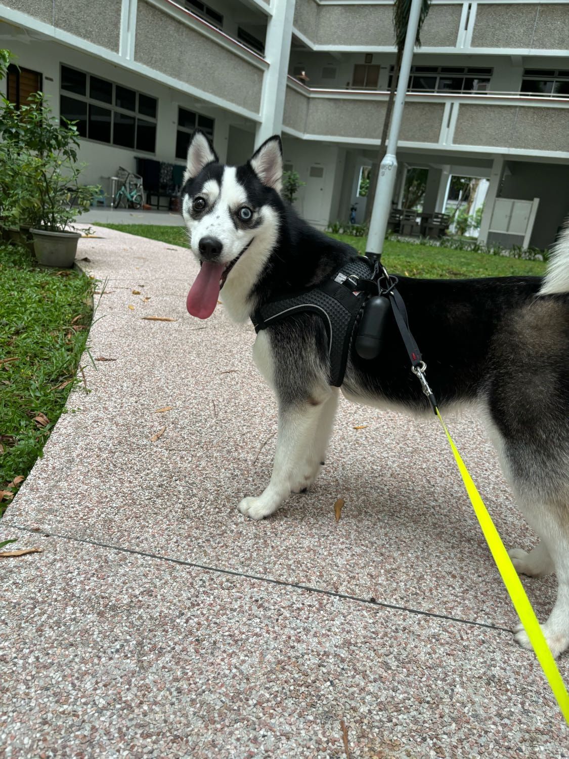 image-13