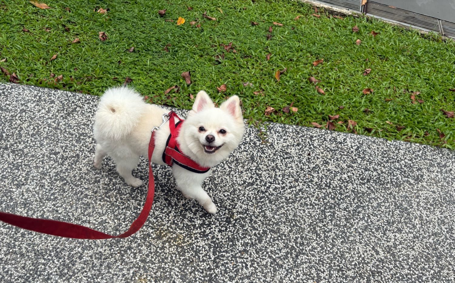 image-18