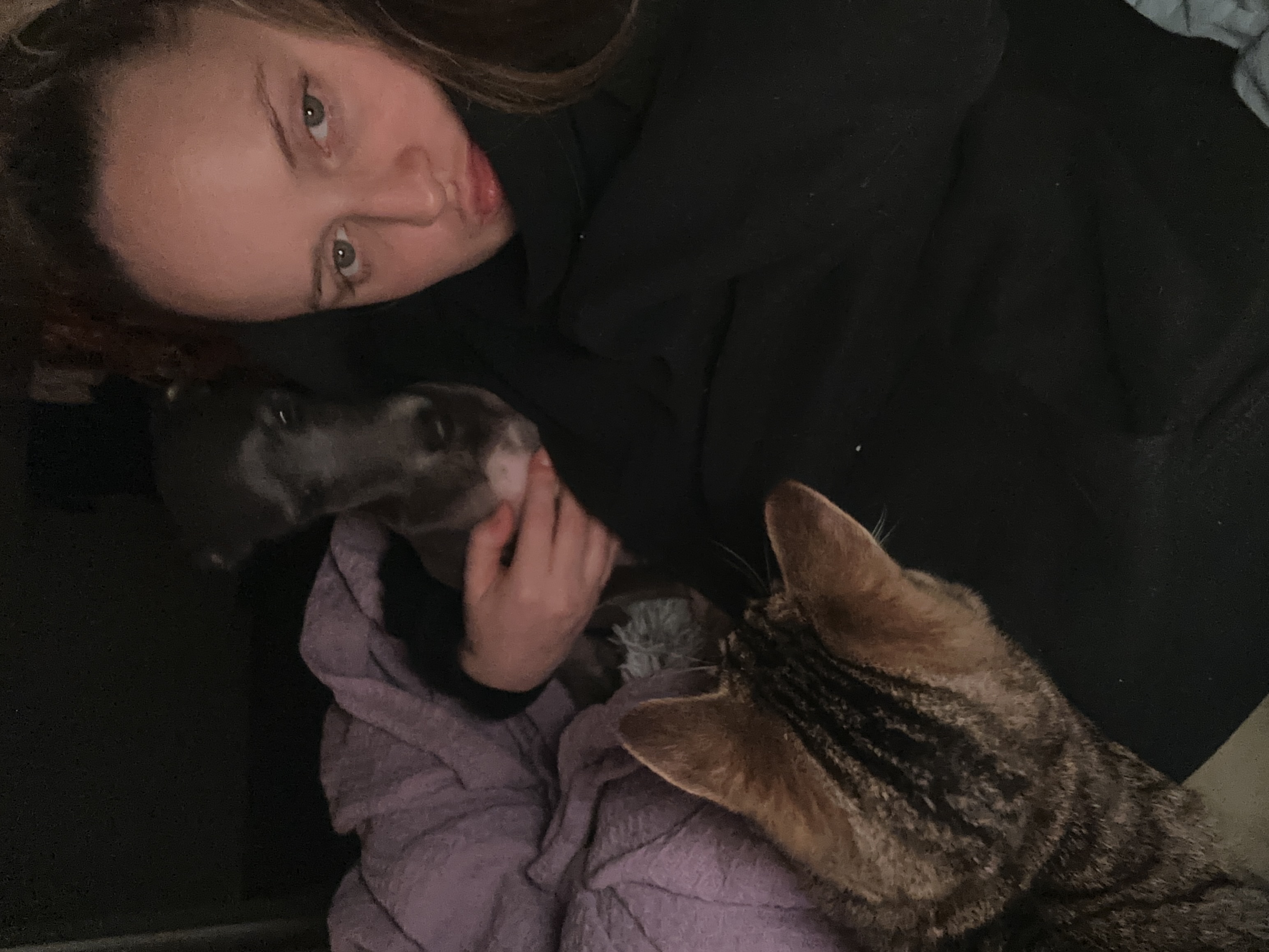 image-5