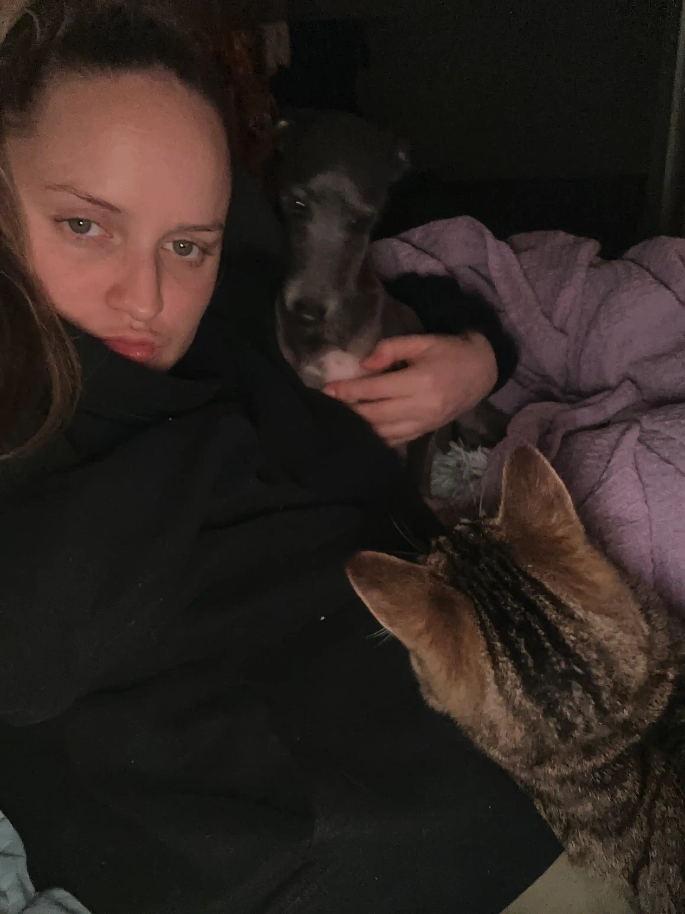 image-5