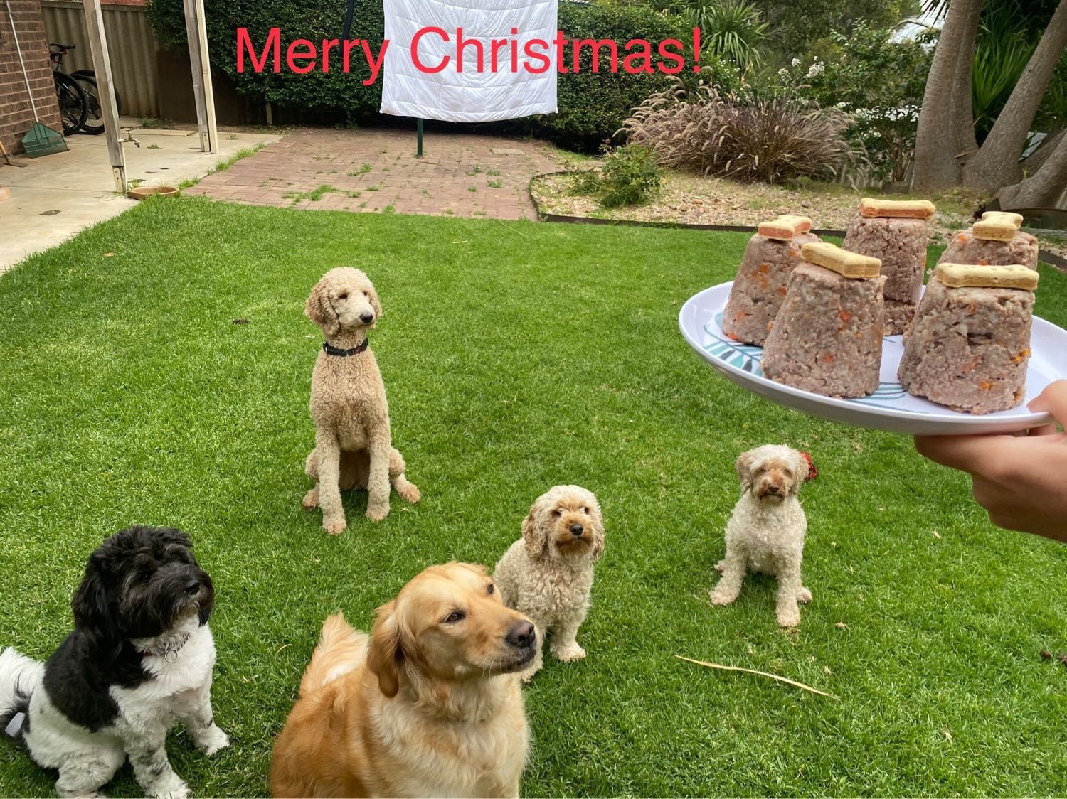 image-22