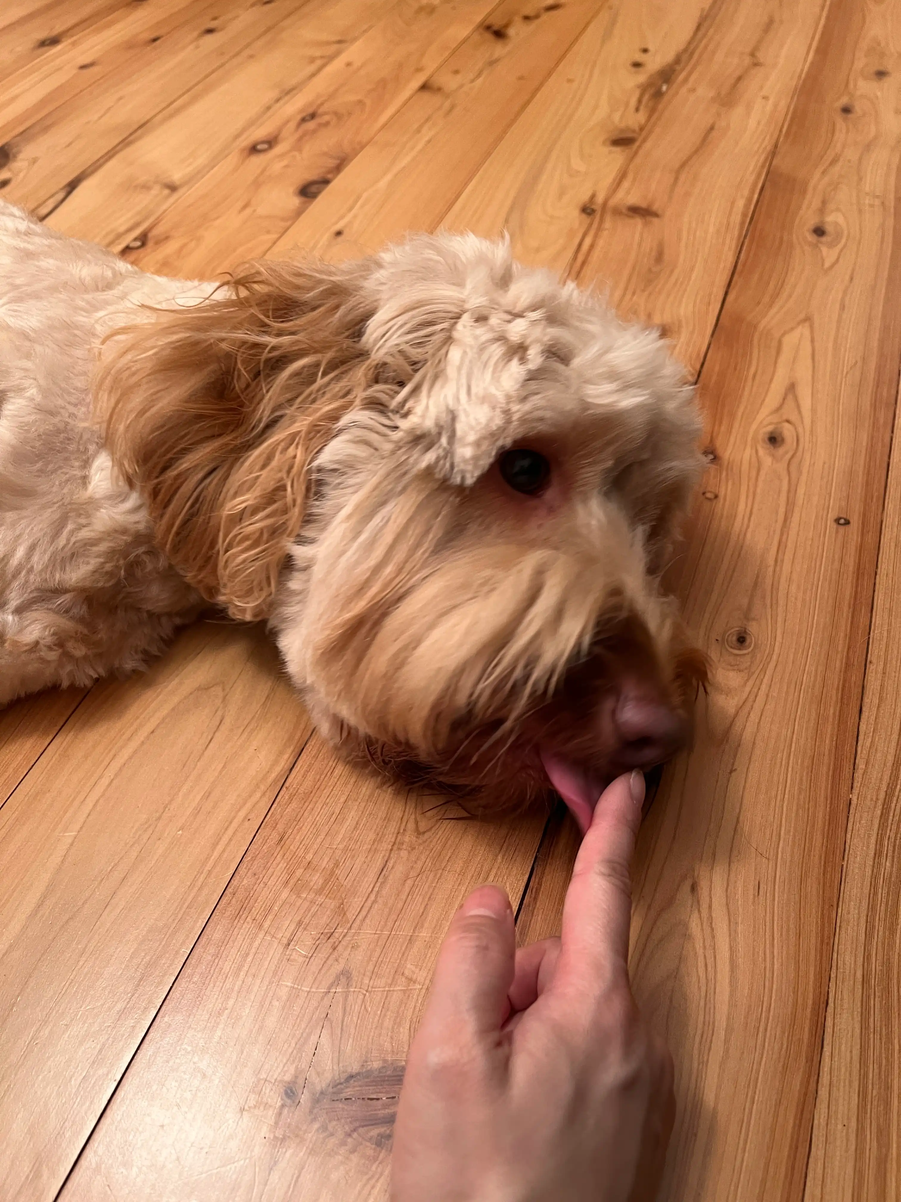image-9