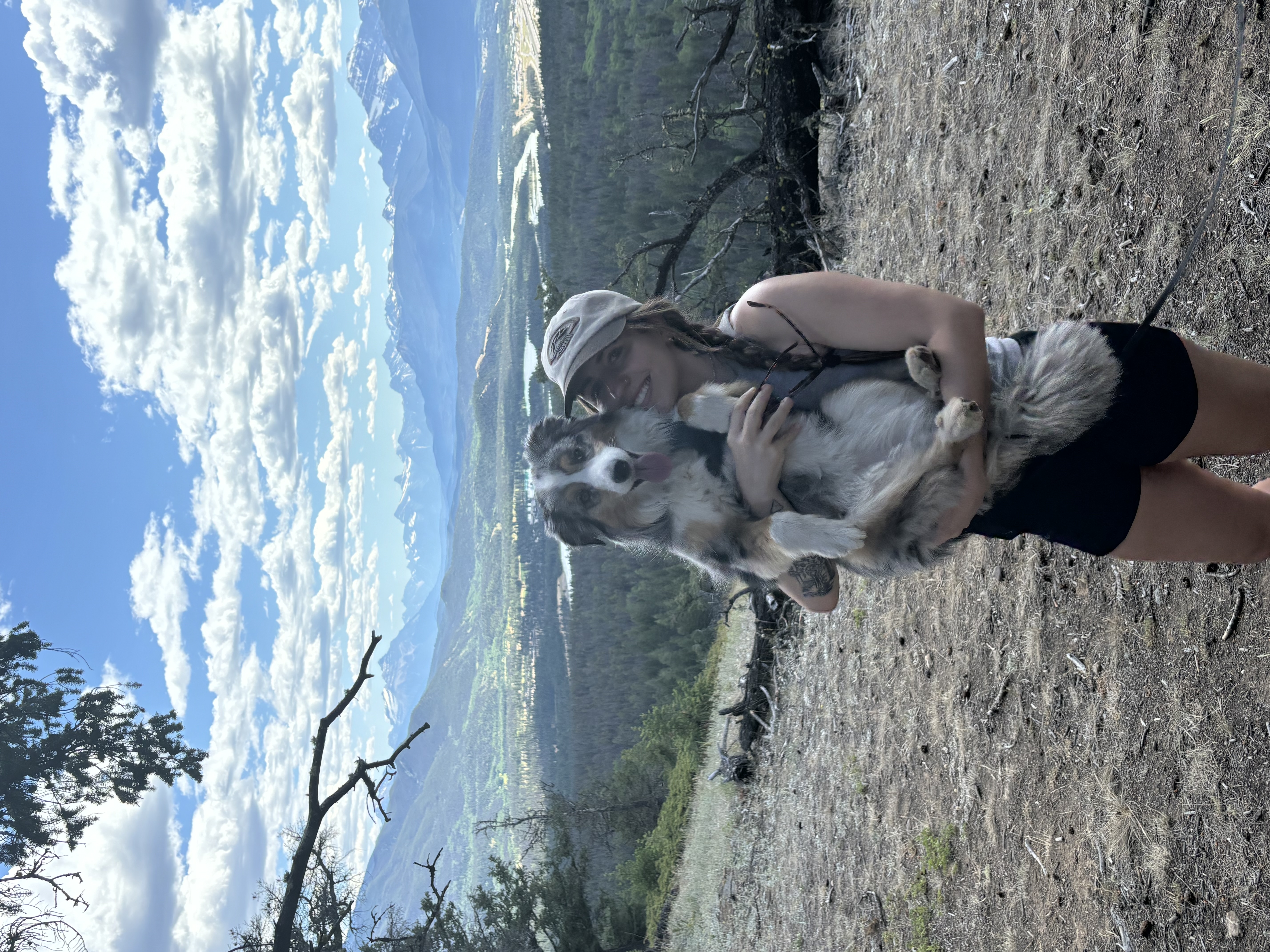 image-0