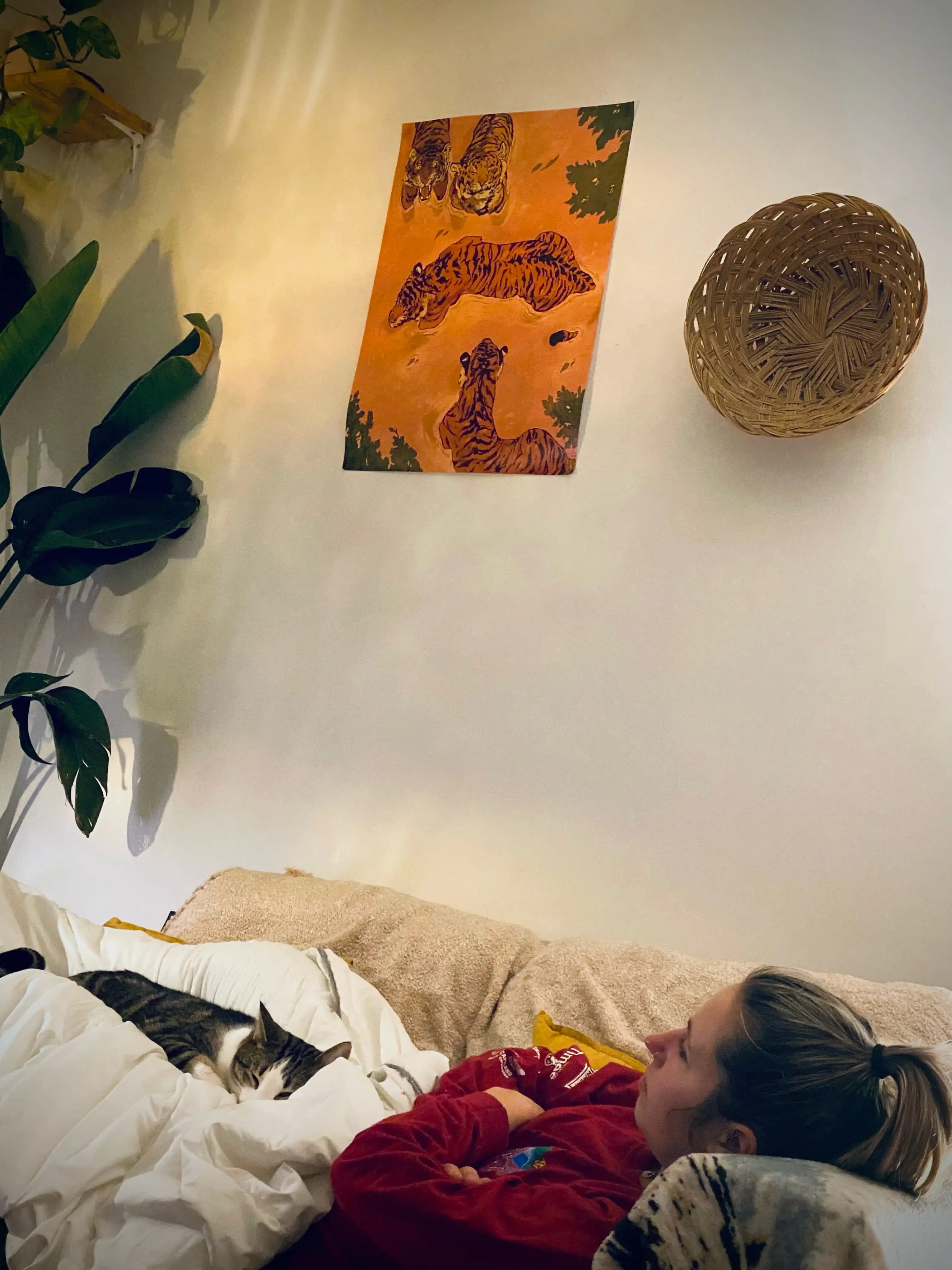 image-10