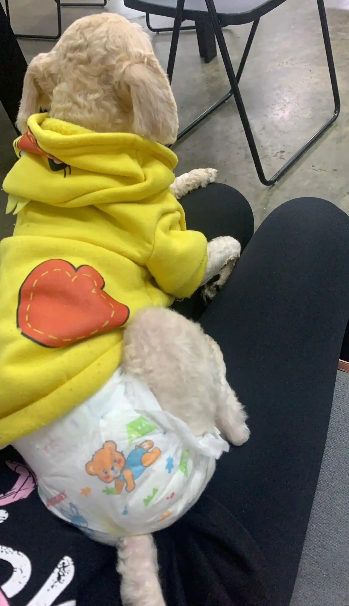 image-7