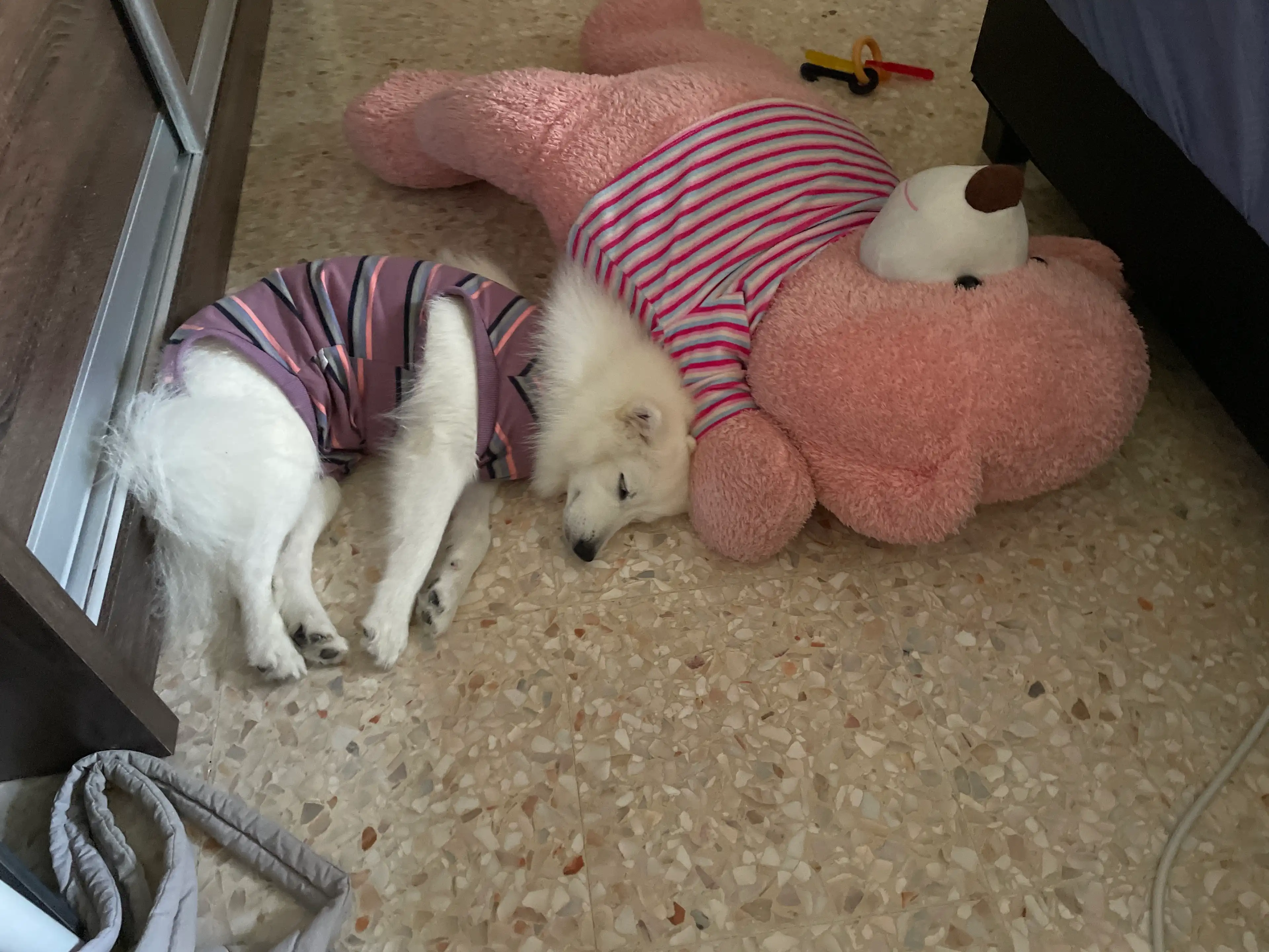 image-12