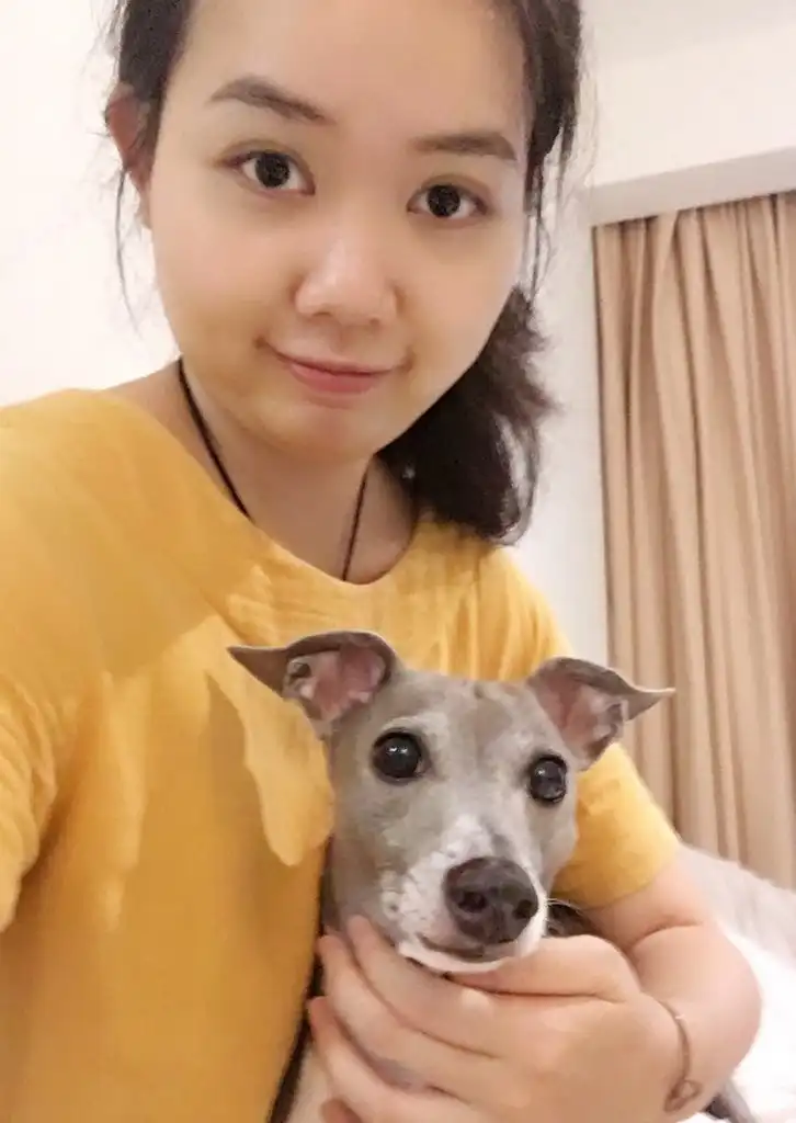 image-12