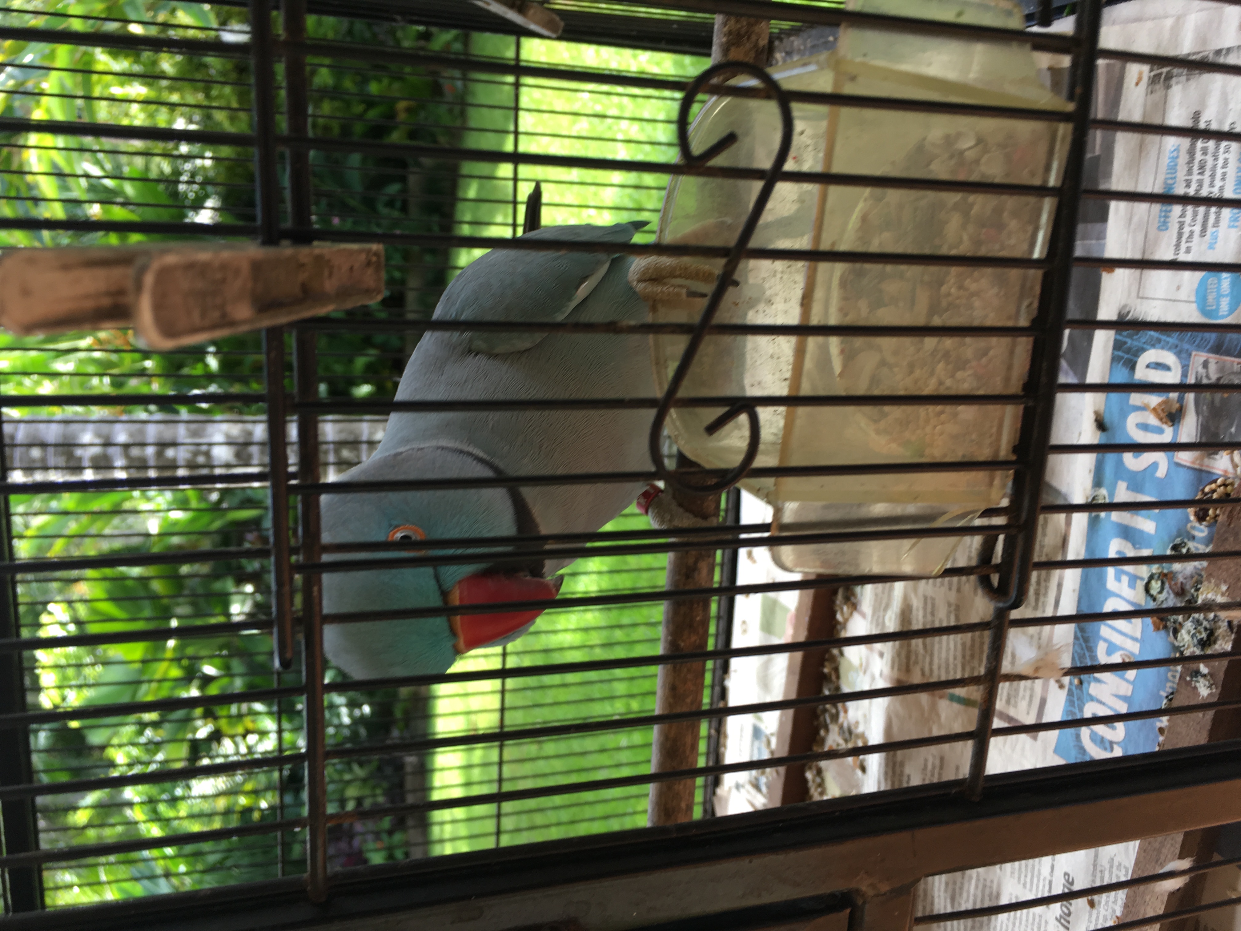 image-13