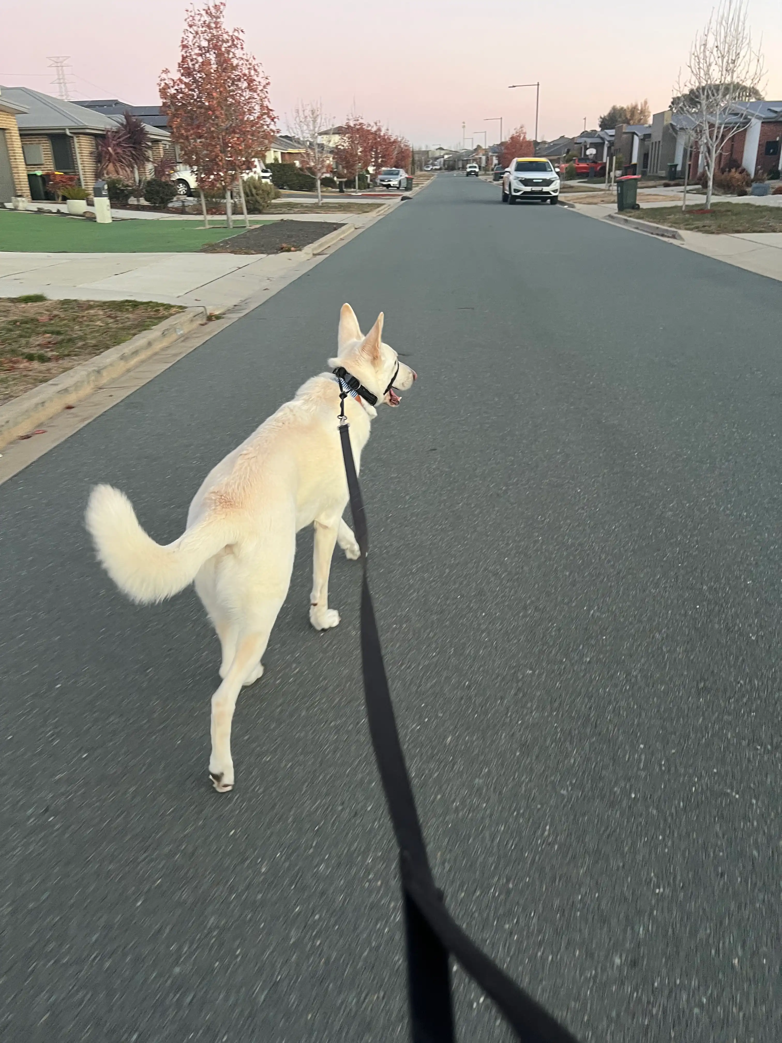 image-14