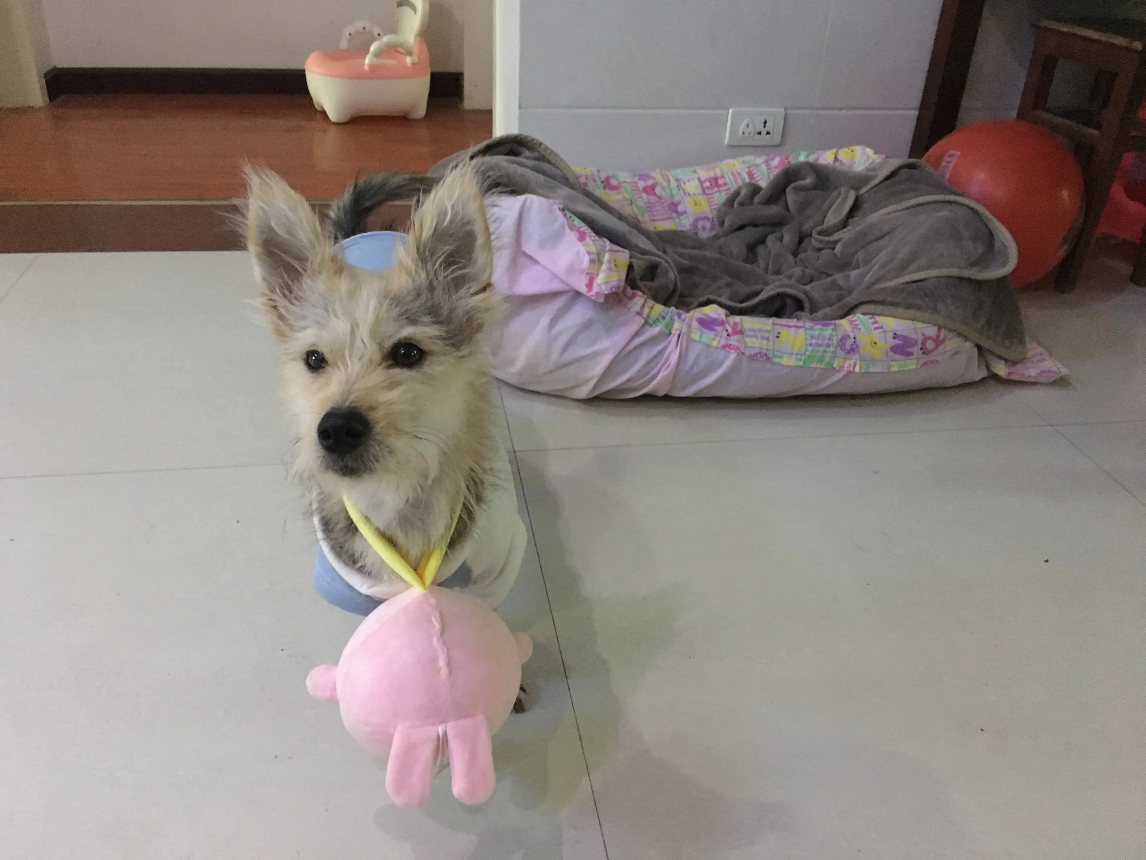 image-4