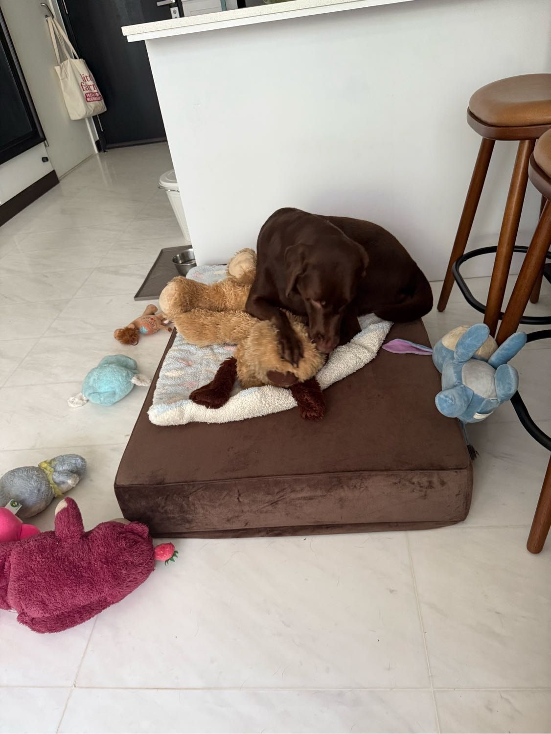 image-6