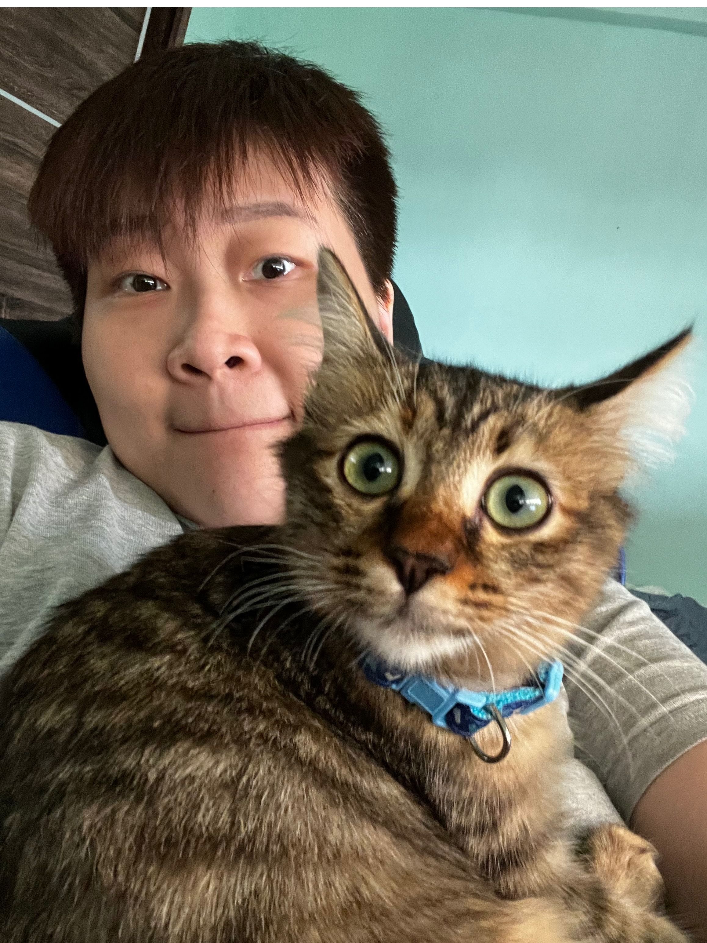 image-4