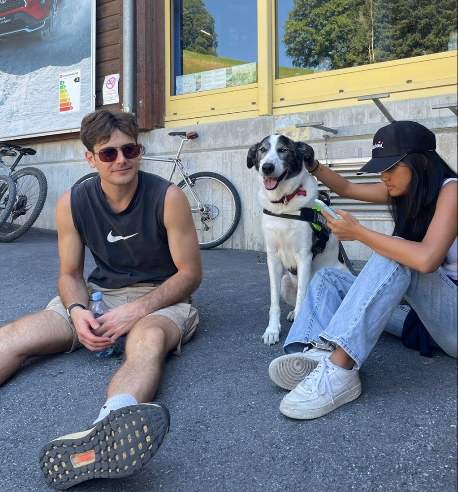 image-13