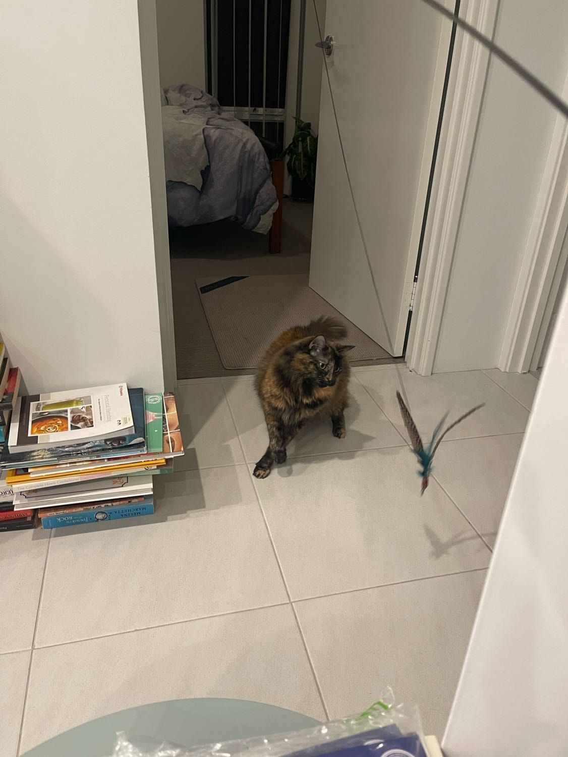 image-9