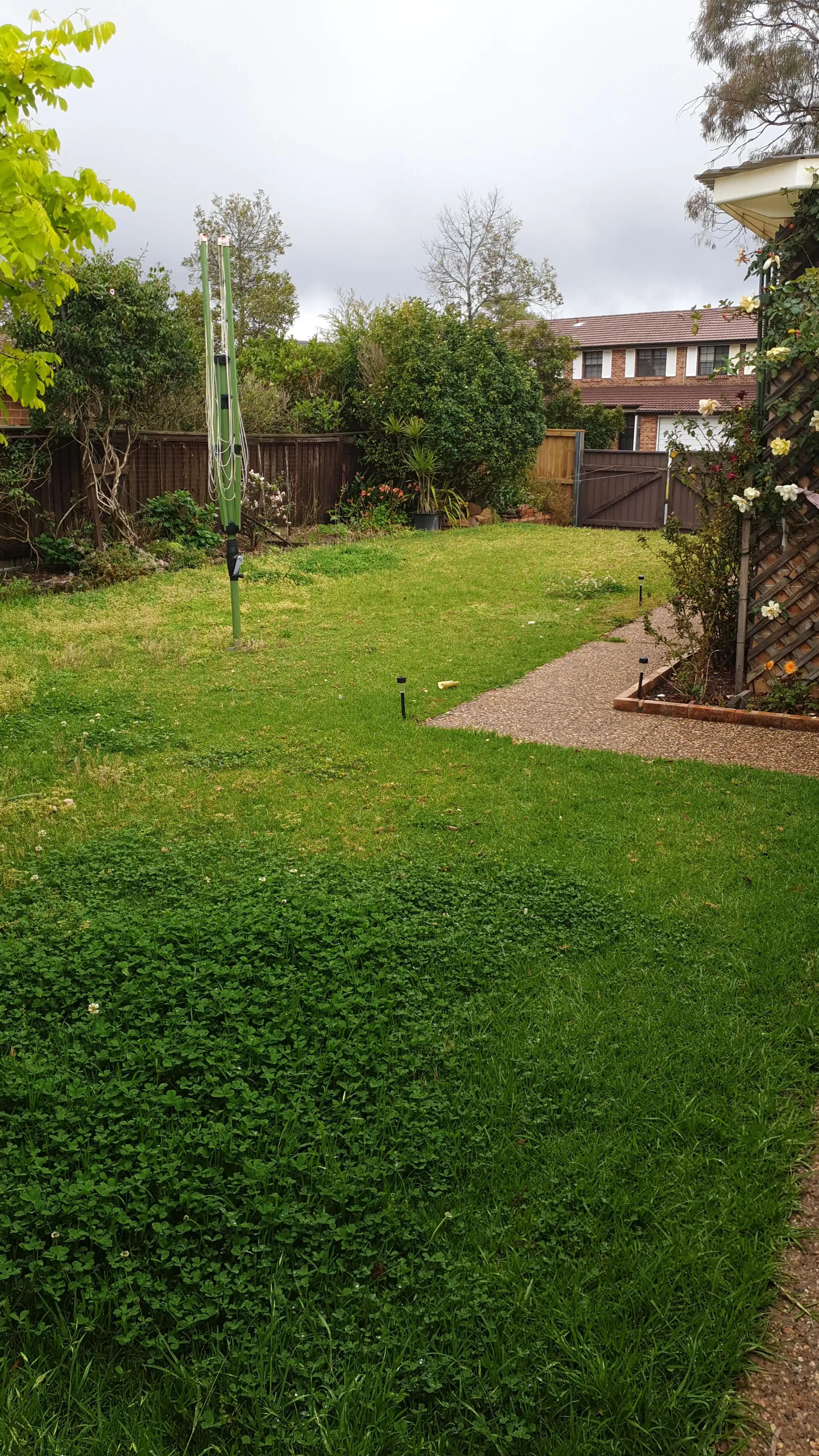 image-14