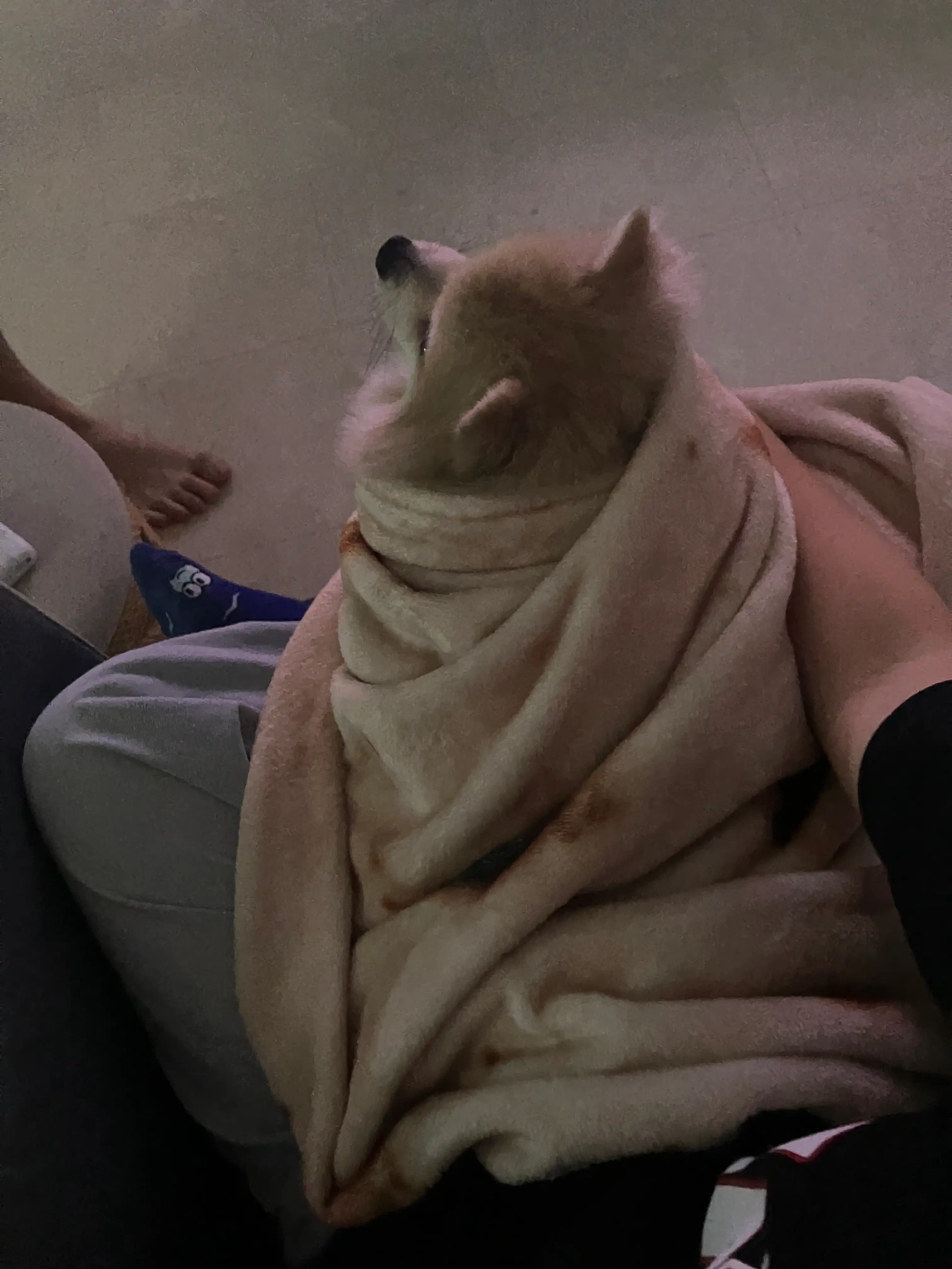 image-6