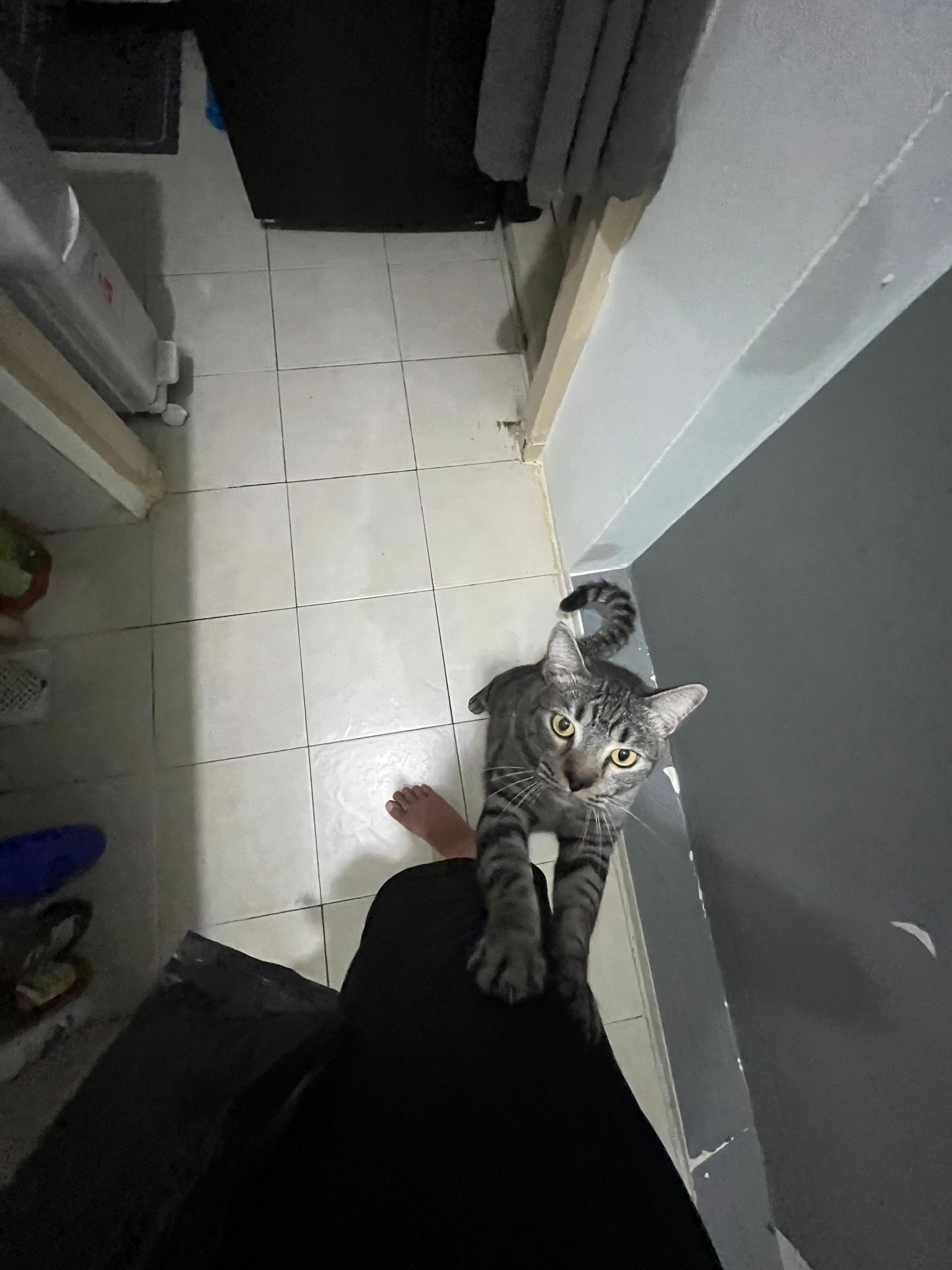 image-4