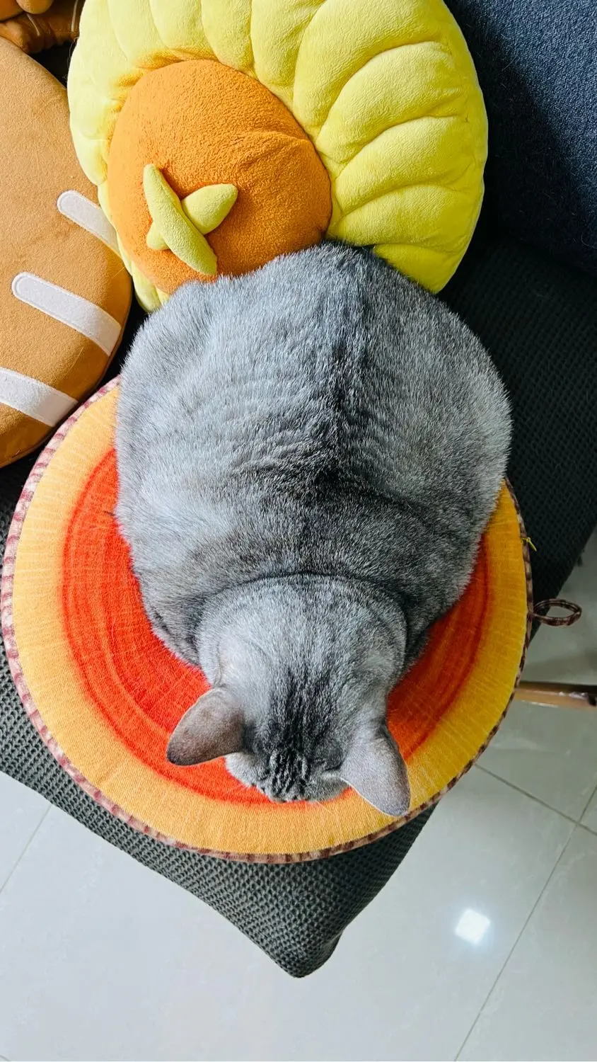 image-4