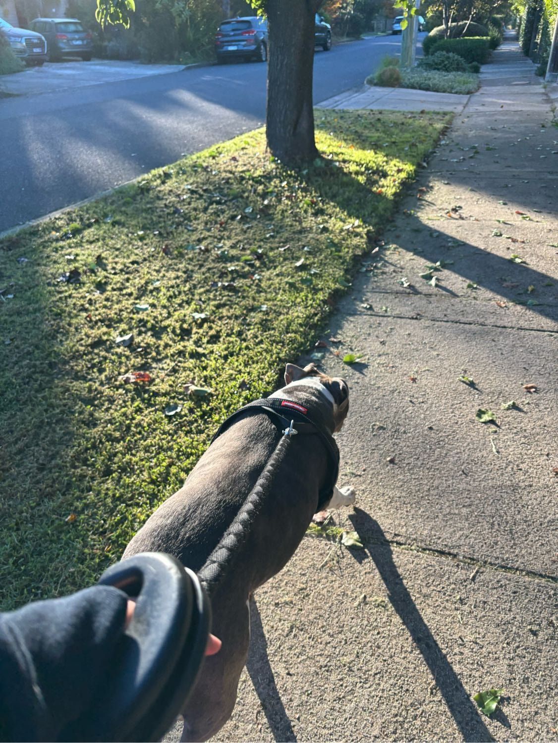 image-9