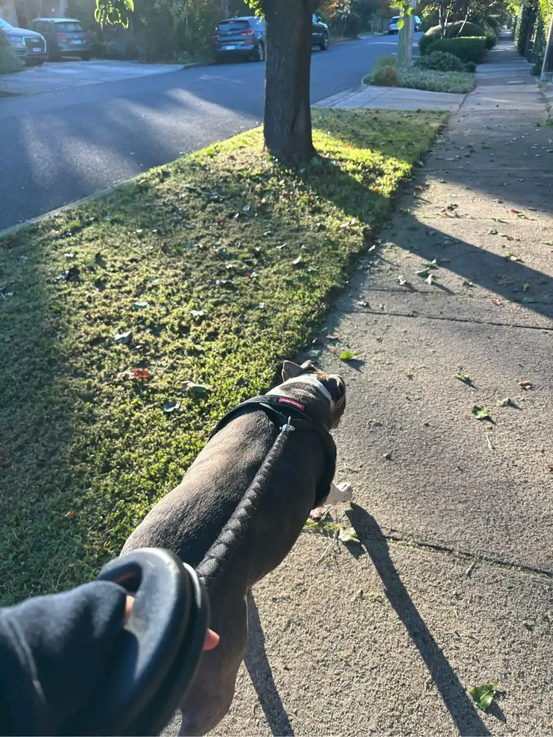 image-9