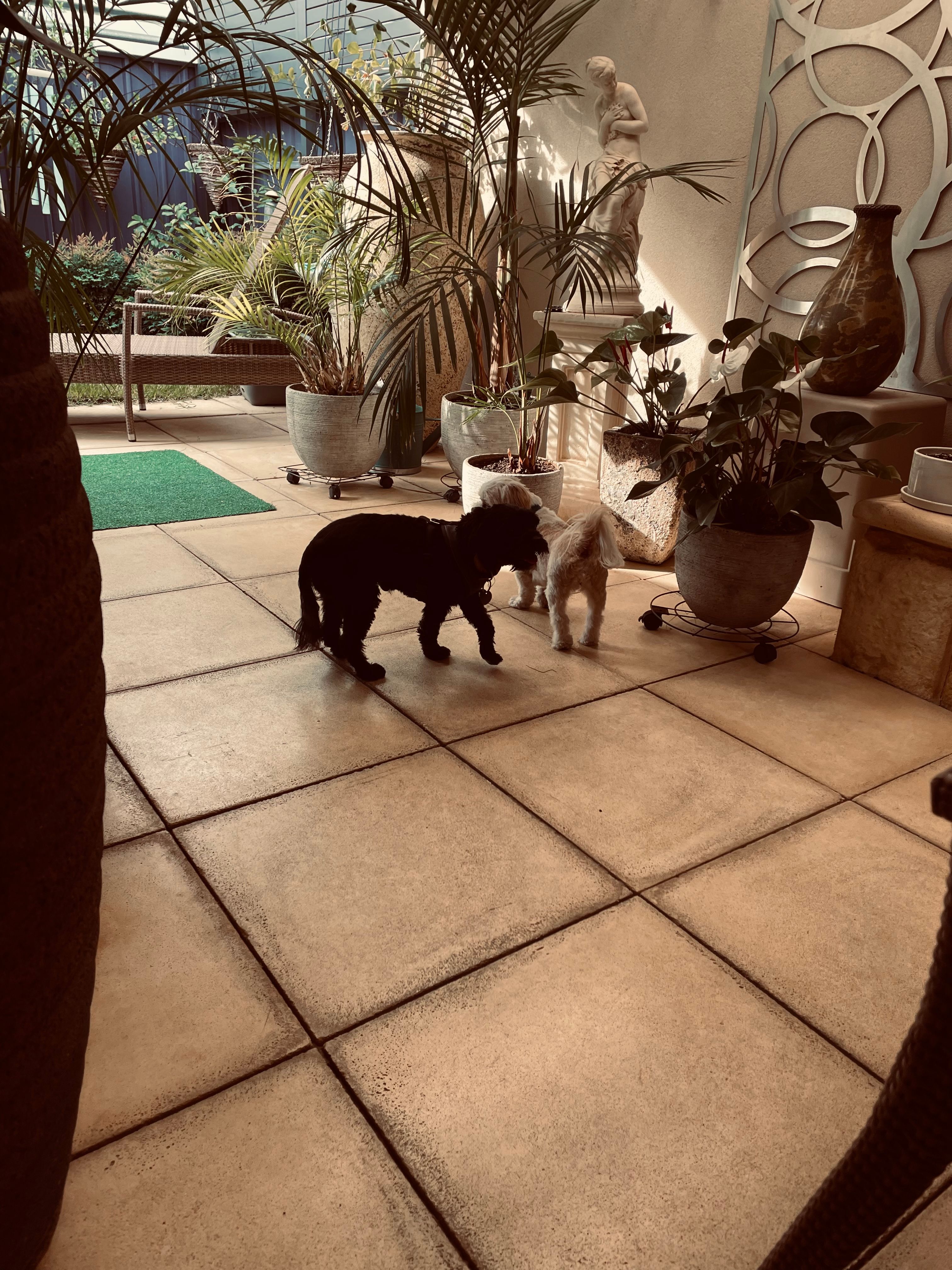 image-6