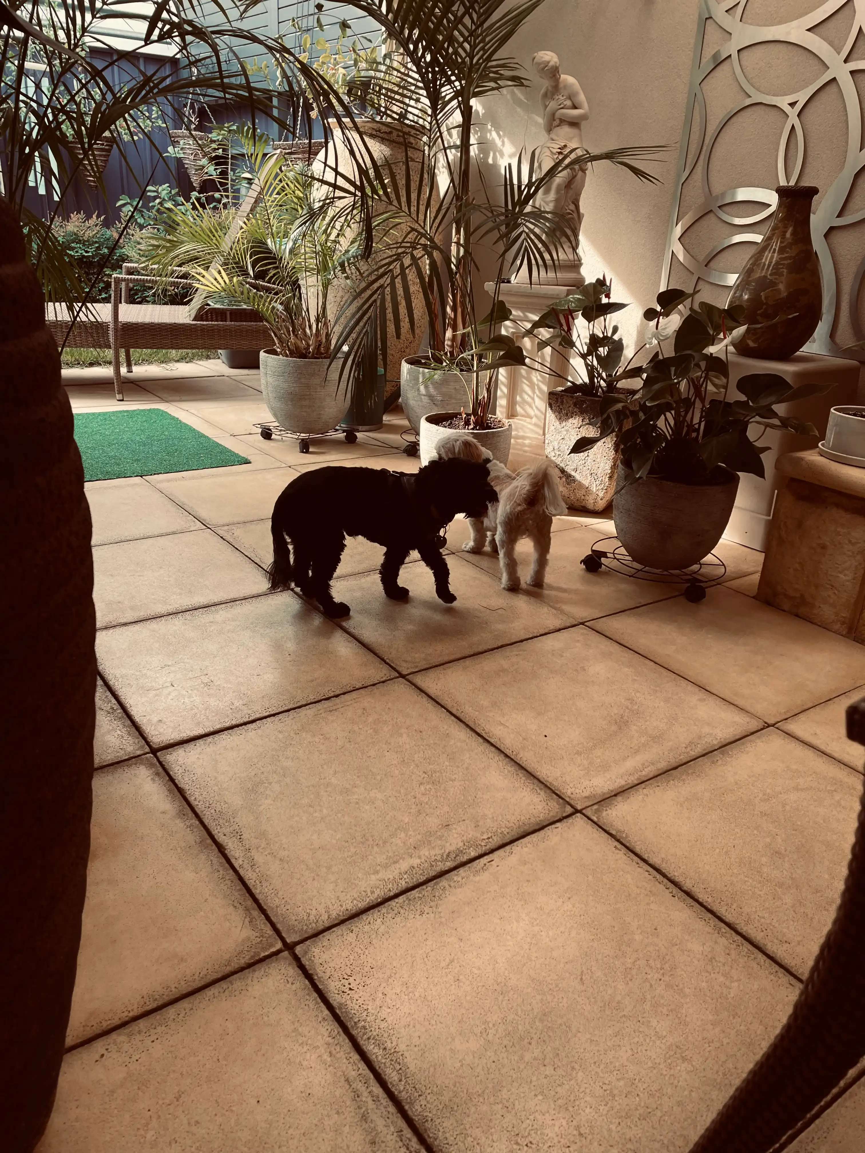 image-6