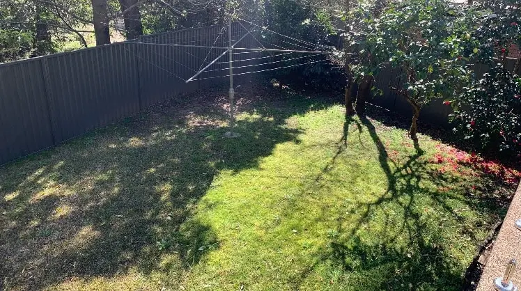 image-4