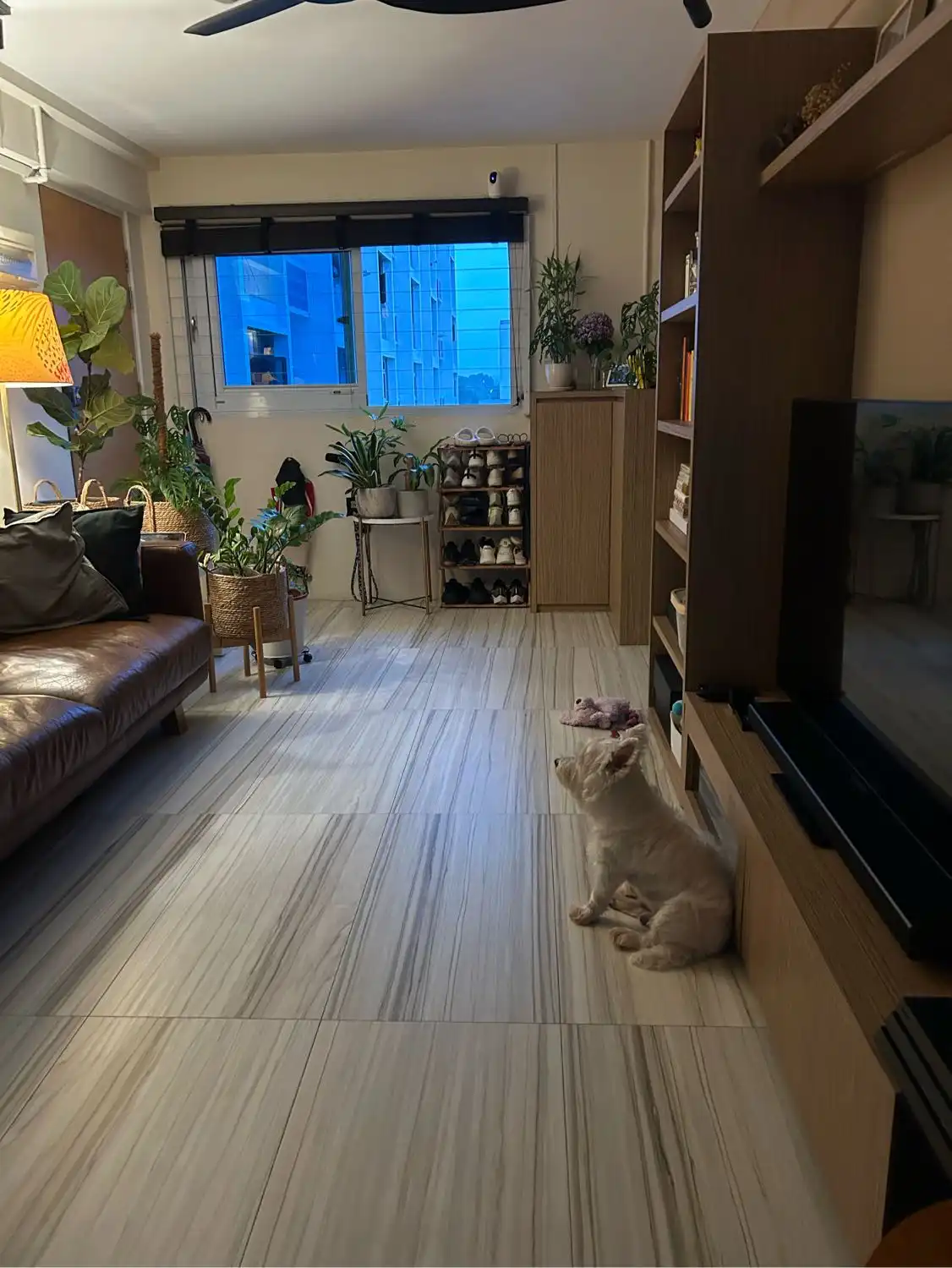 image-10