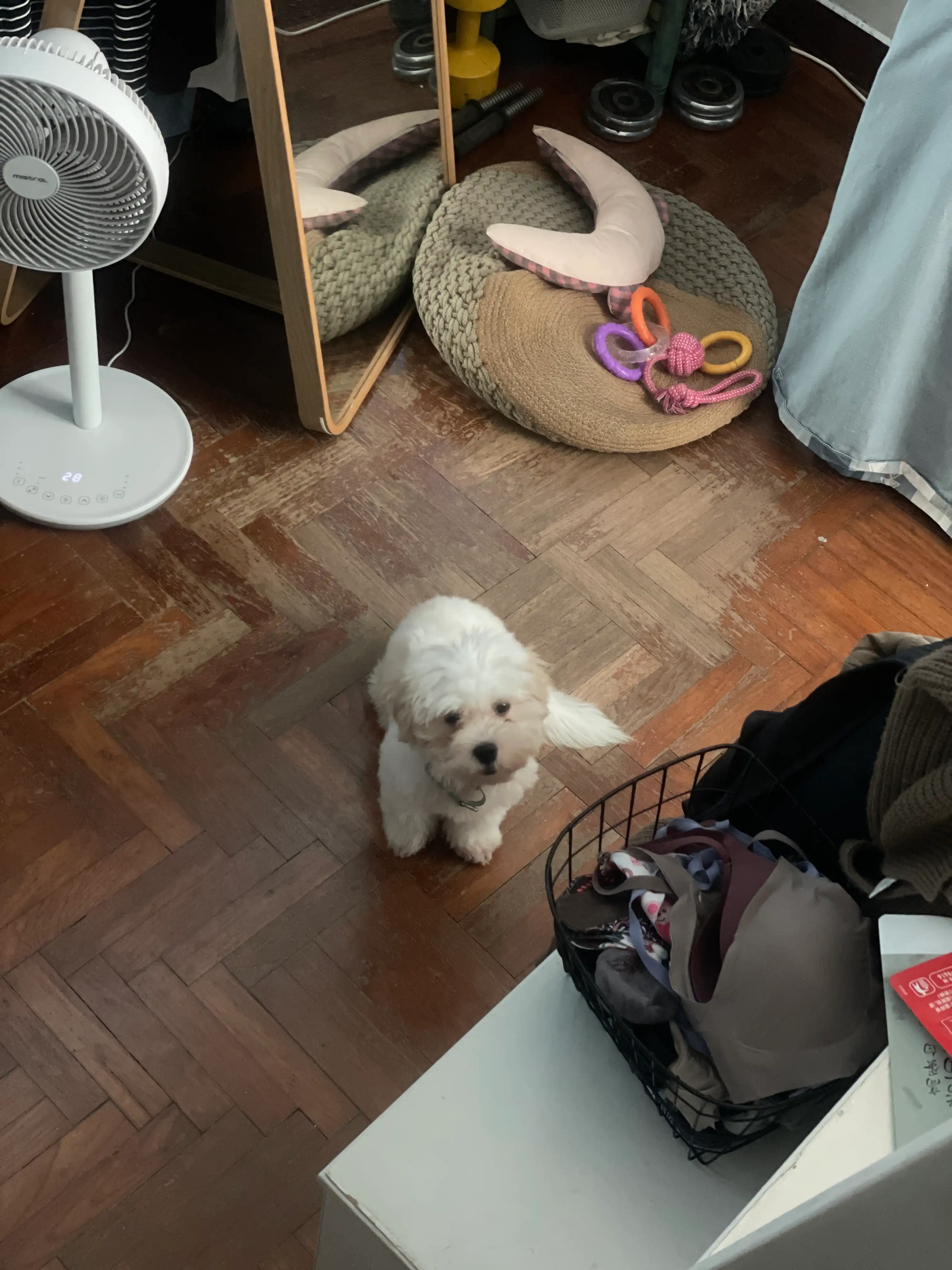 image-9