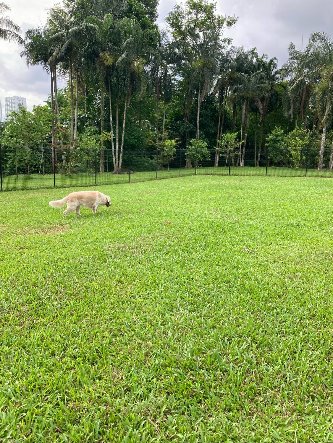 image-23