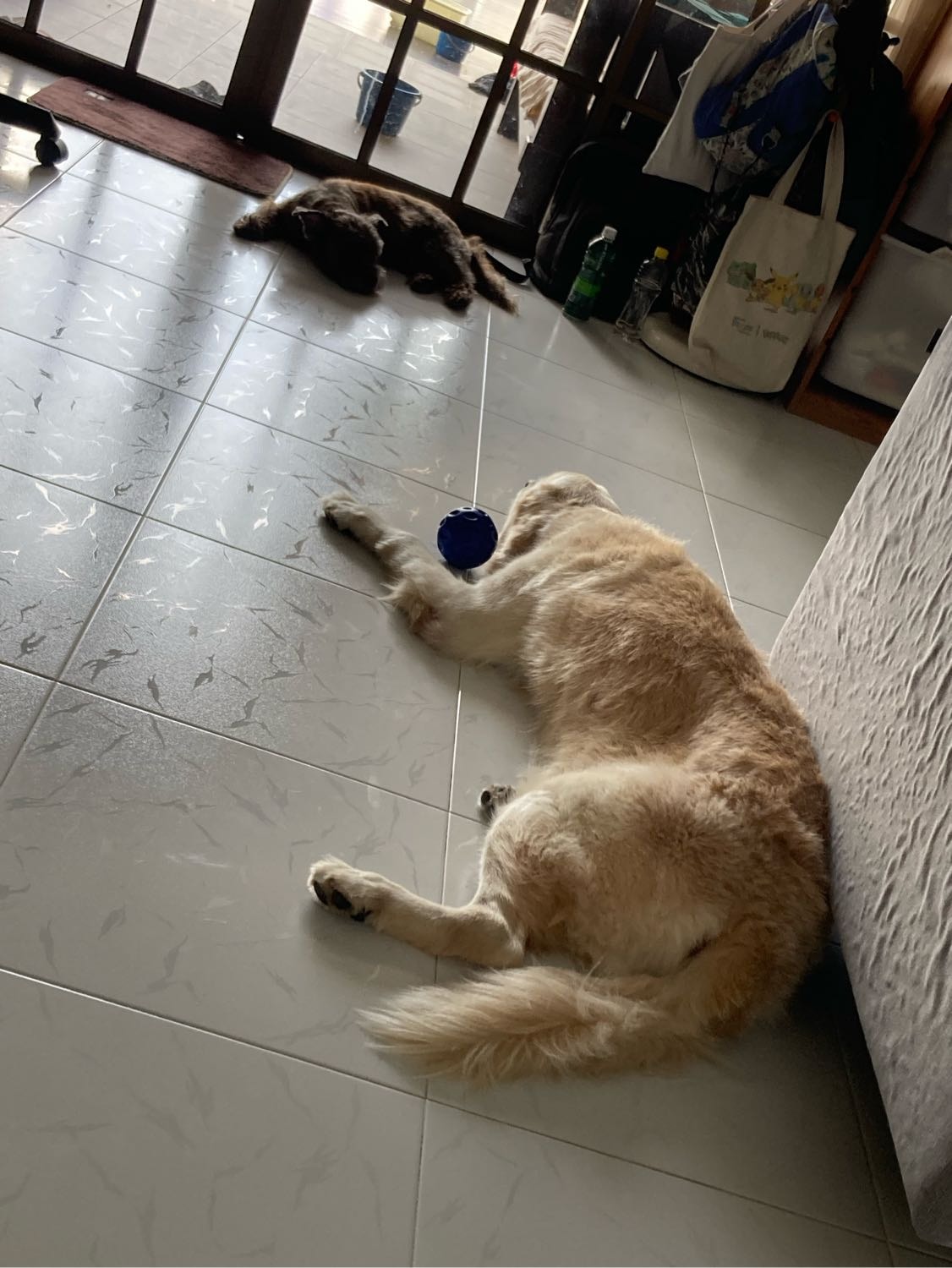 image-18