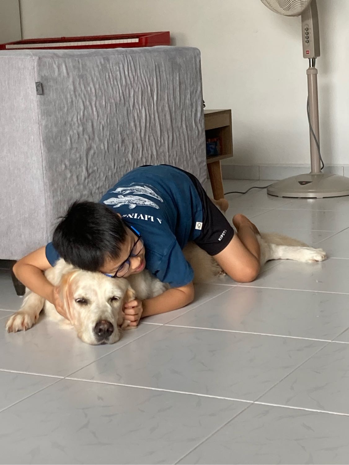 image-16