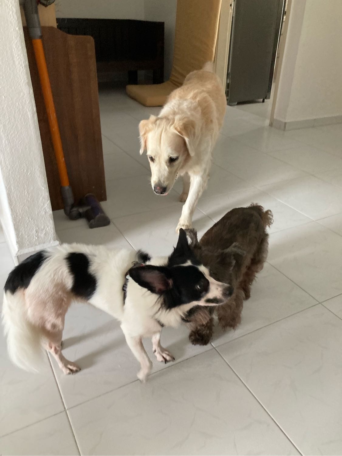 image-24