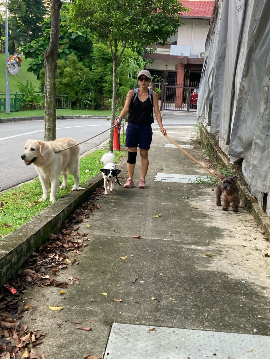 image-20