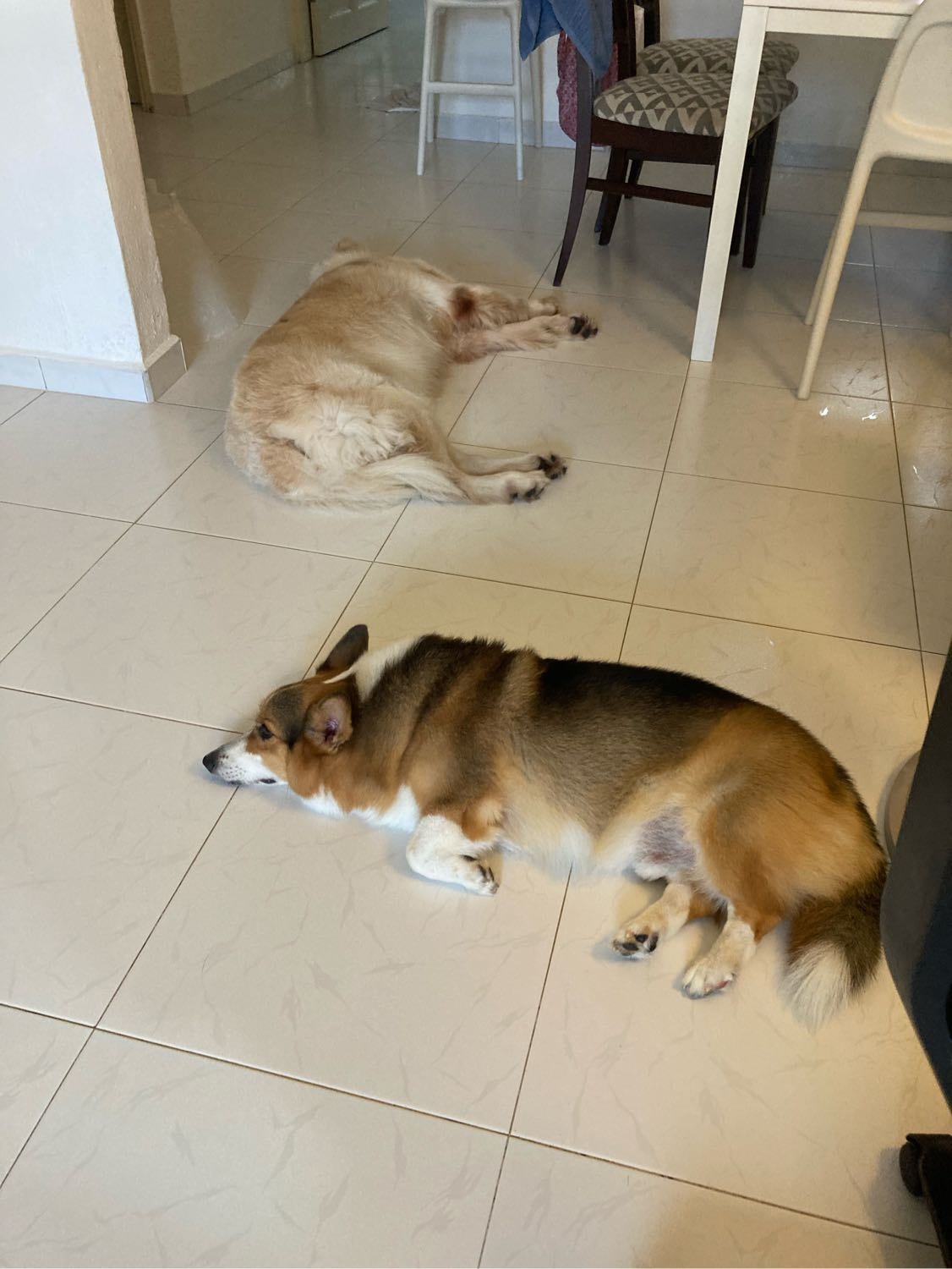 image-26