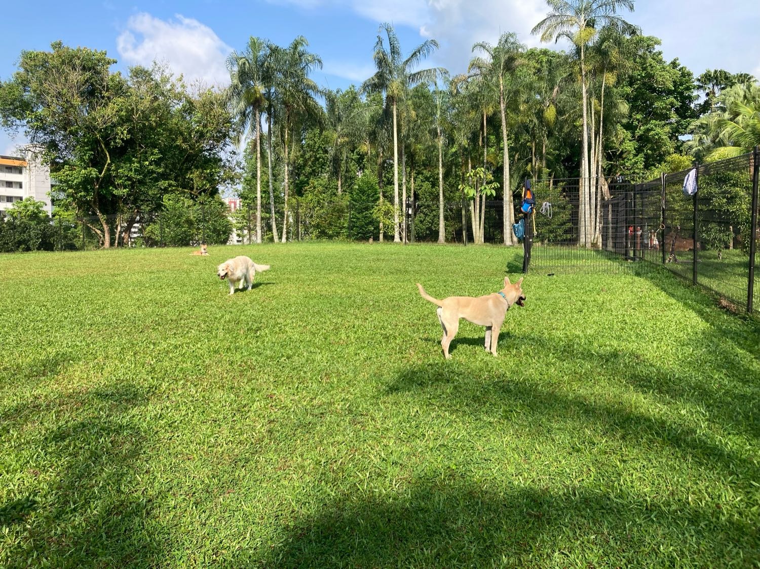 image-14