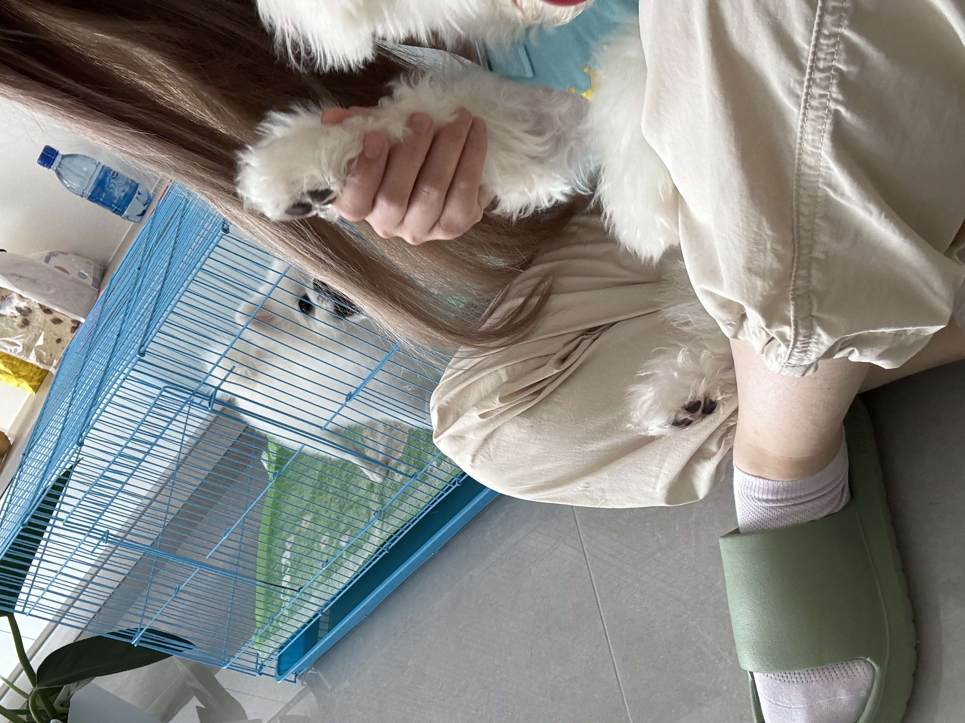 image-2