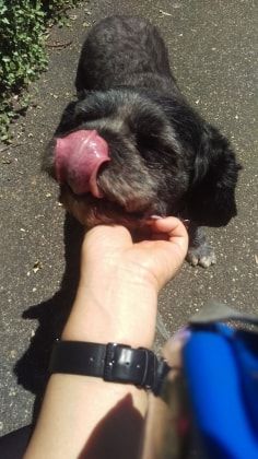 image-6