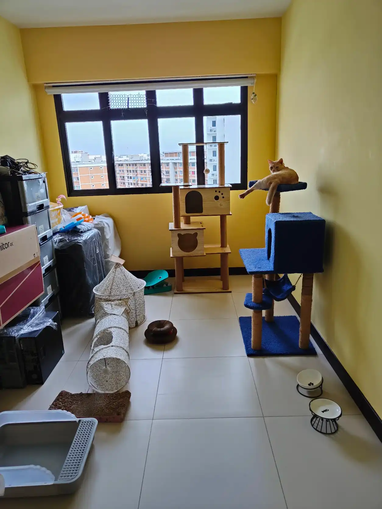 image-7