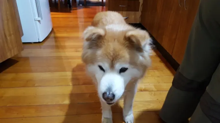 image-0
