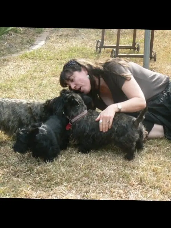 image-3