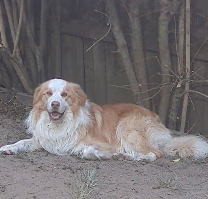 image-7