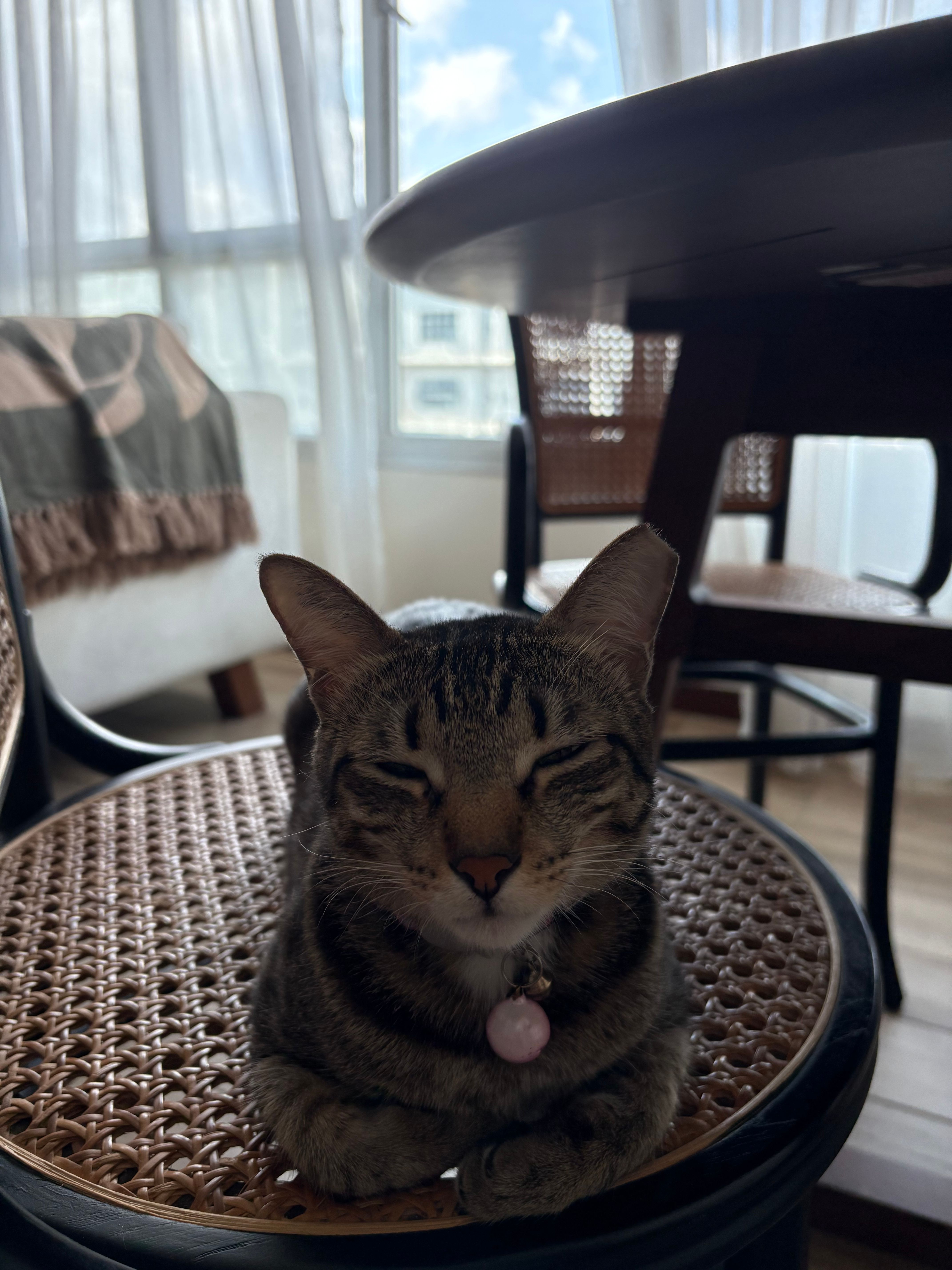 image-14