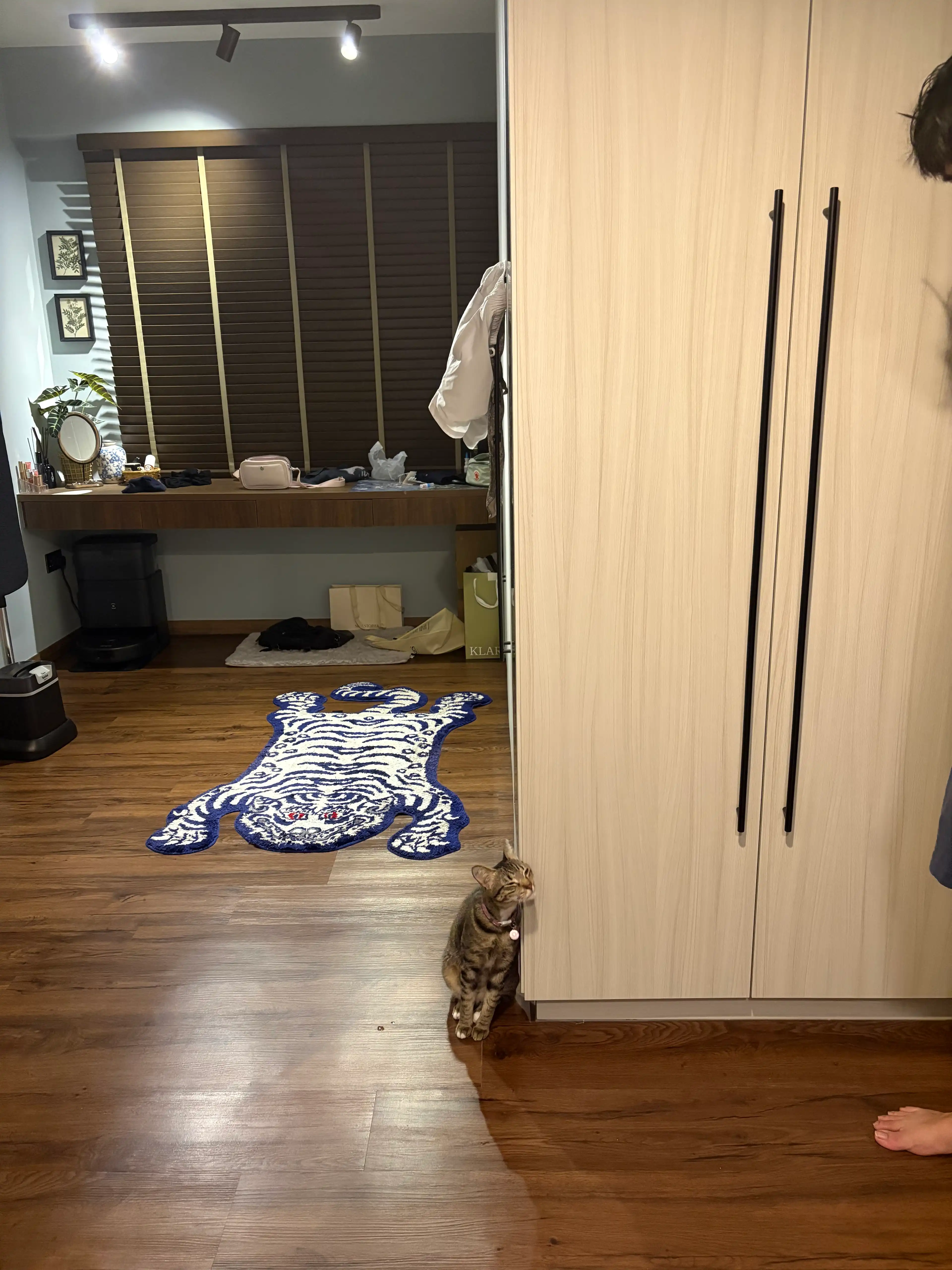 image-12